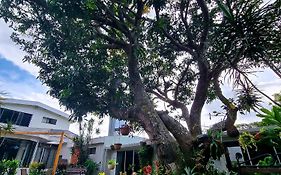 Casa Jardin Del Mango